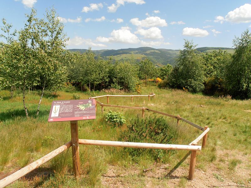 Parc du bois d'Avaize - Saint-Étienne