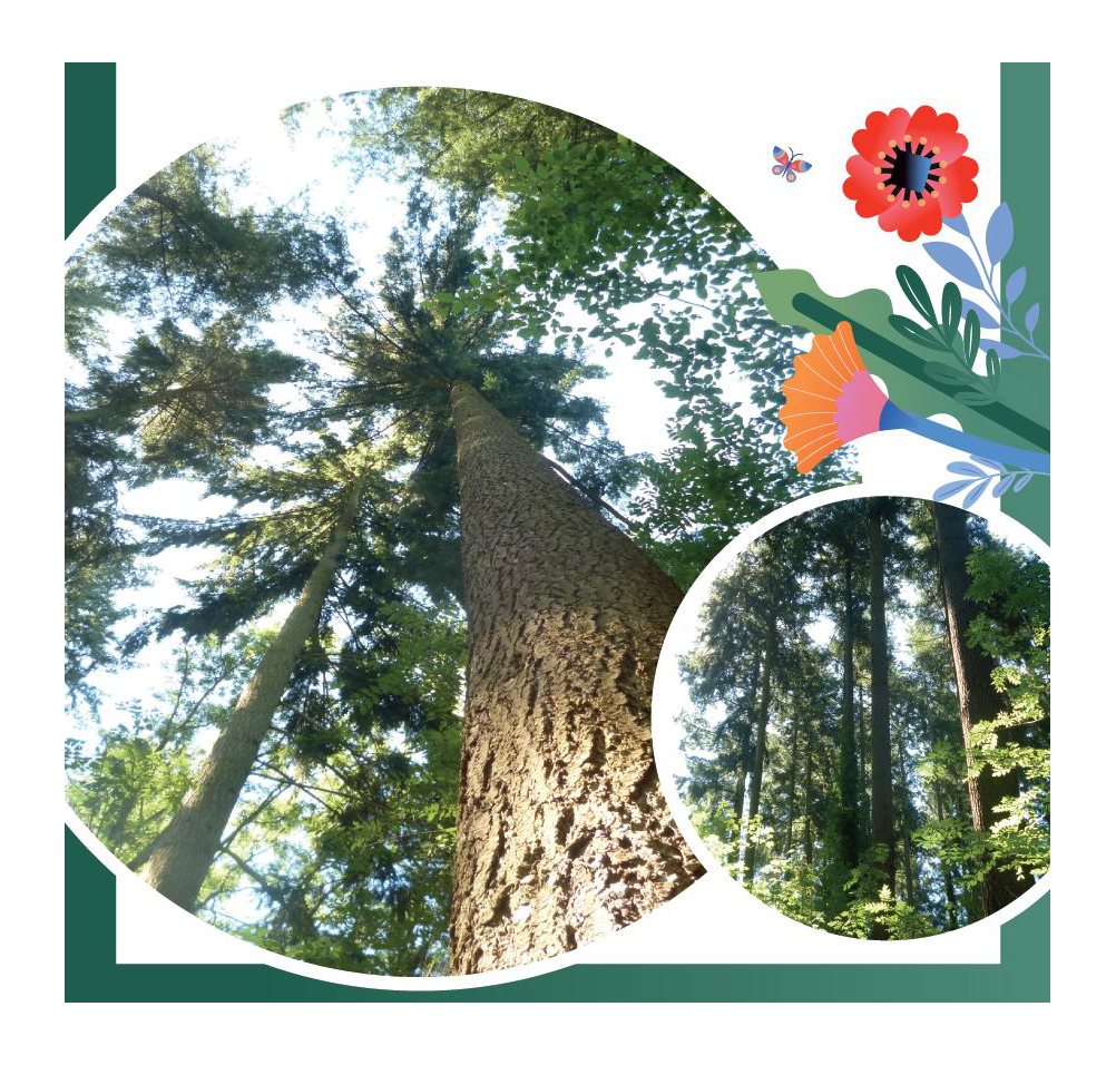 Foire économique de Saint-Étienne : un stand sur la biodiversité