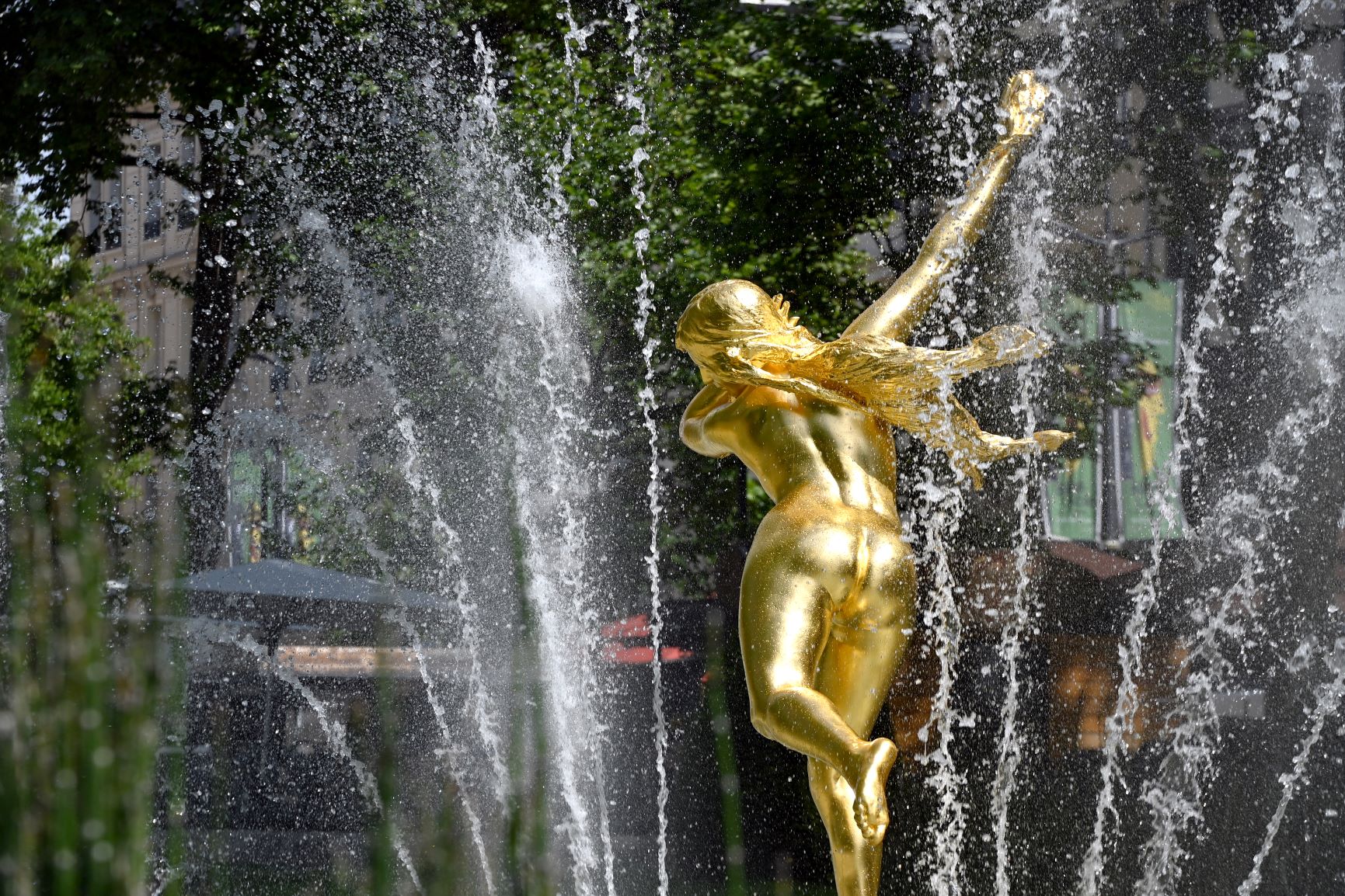 Photo de la statue Daphné changée en lauriers
