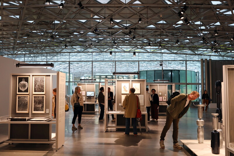 un groupe de personnes qui regardent une exposition
