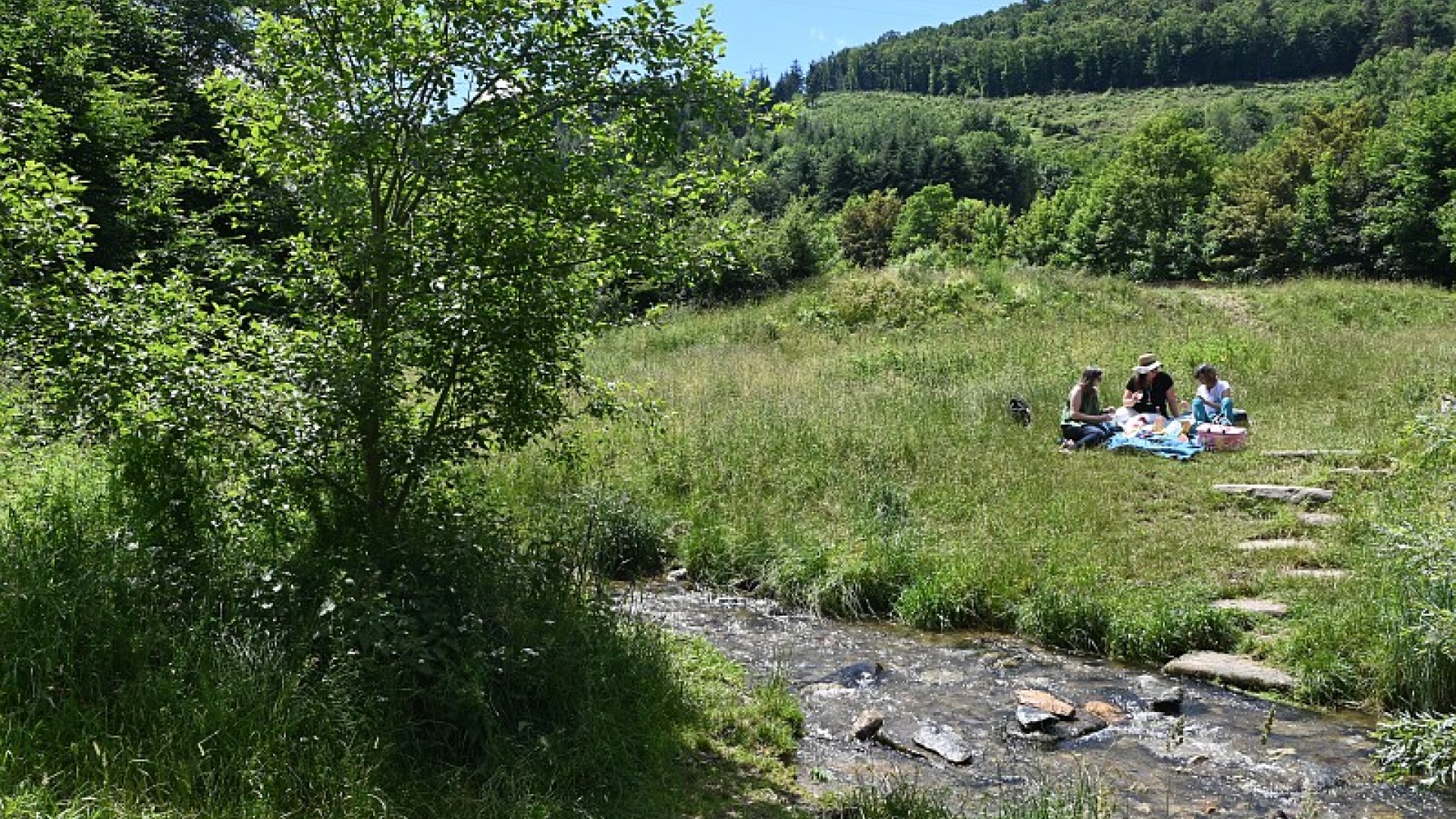 Le parc du Valfuret | Site Internet de la ville de Saint-Étienne
