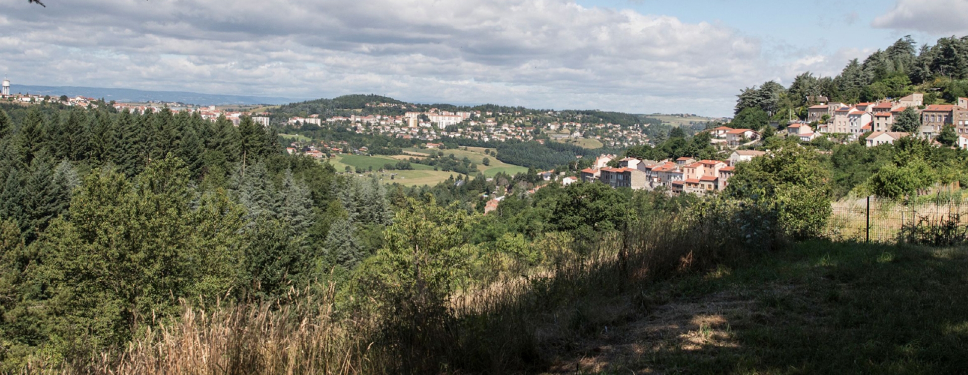 forêt avec vue sur la ville