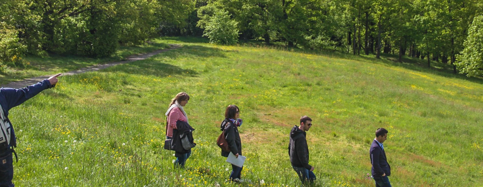marcheurs dans un parc arboré et engazonné