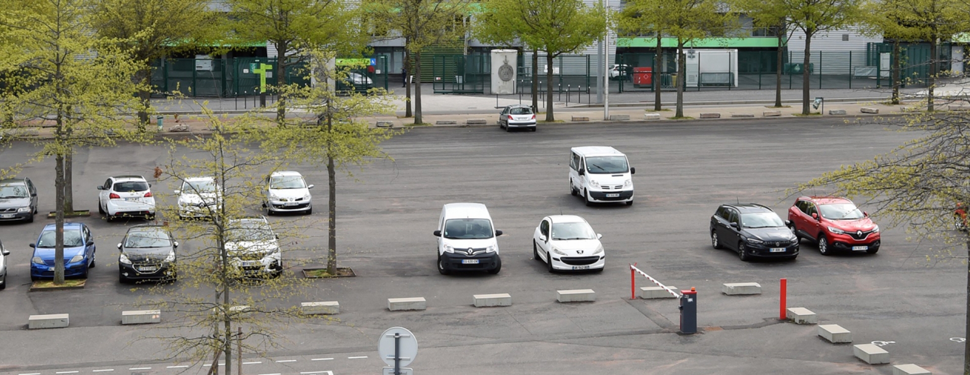 parking arboré avec plusieurs voitures