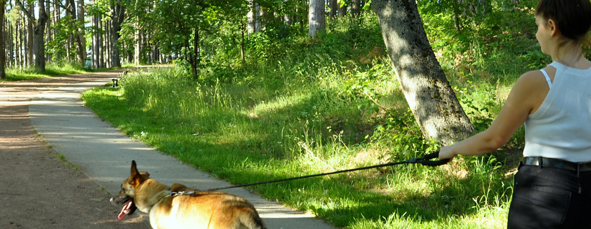 jeune femme promenant son chien dans un parc arboré