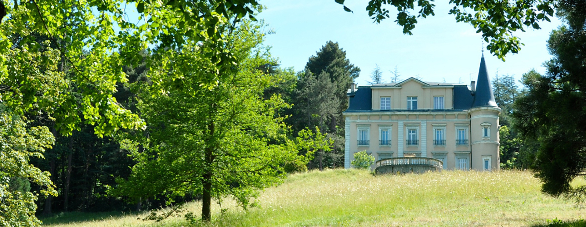parc arboré avec un château