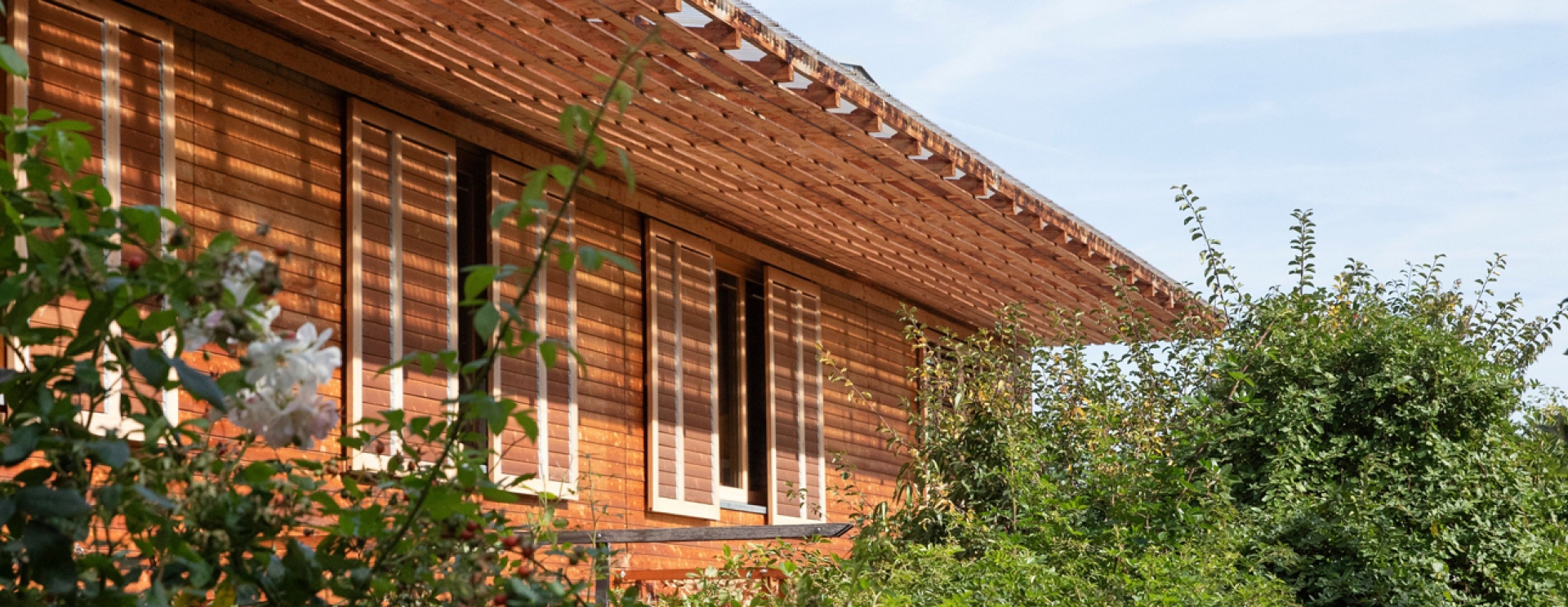 immeuble de logements récents en bois