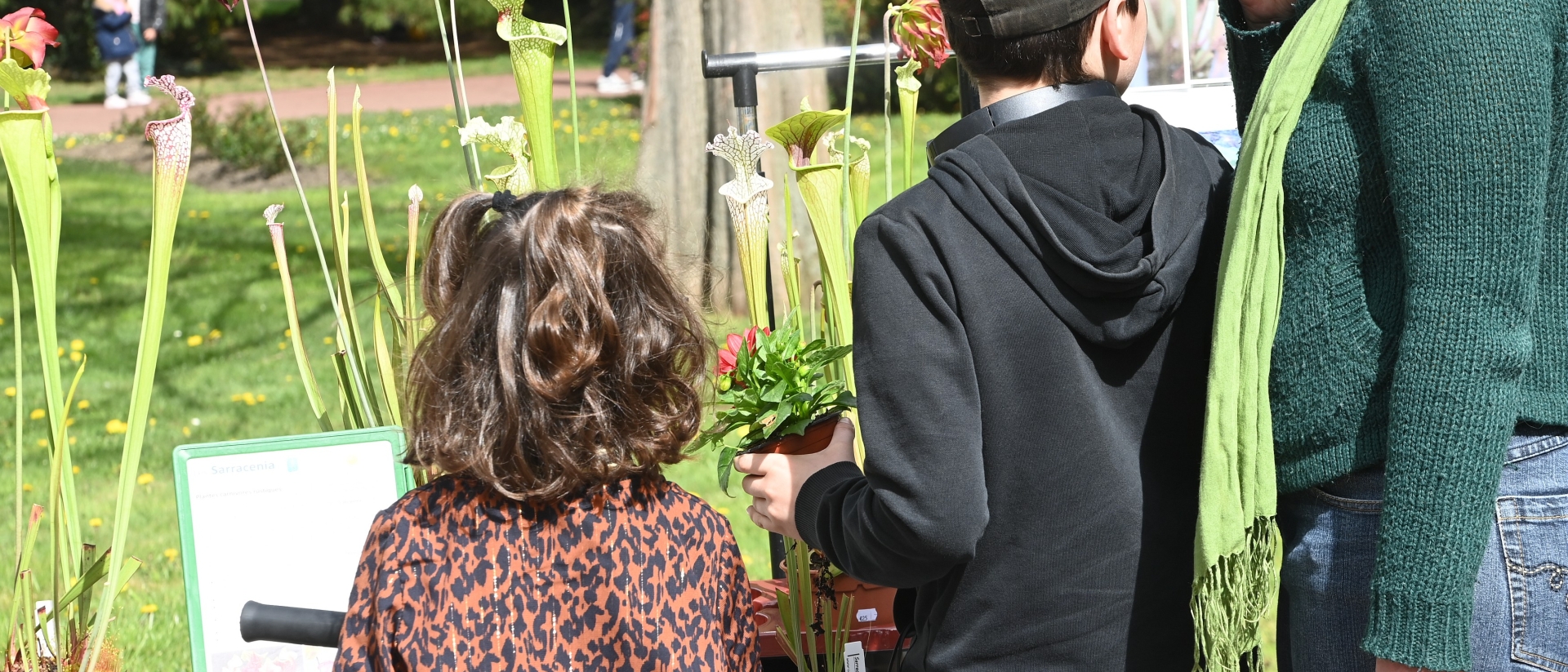 Agrandir l'image, fenêtre modale