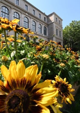 Saint-Étienne