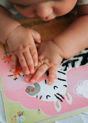 Agrandir l'image, fenêtre modale