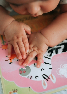 Agrandir l'image, fenêtre modale