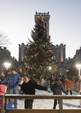 Agrandir l'image, fenêtre modale