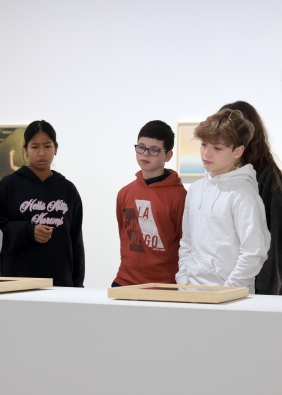 Agrandir l'image, fenêtre modale