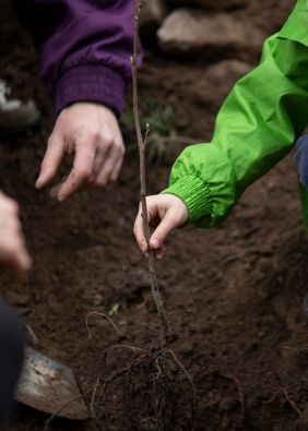 Agrandir l'image, fenêtre modale