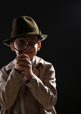 Agrandir l'image, fenêtre modale