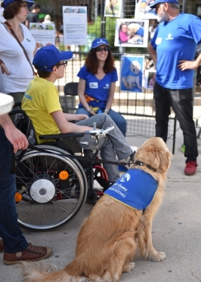 Agrandir l'image, fenêtre modale