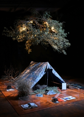 Agrandir l'image, fenêtre modale