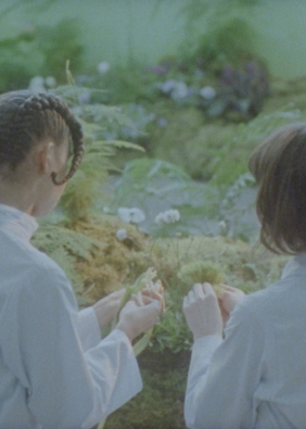 Agrandir l'image, fenêtre modale