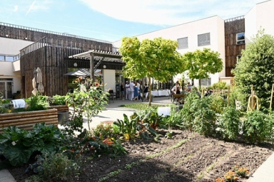 jardin aménagé autour de bâtiments 