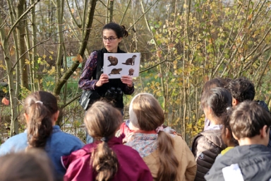 enfants qui écoutent une présentation sur les oiseaux