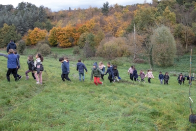 enfants dans un espace vert qui plantent des arbres