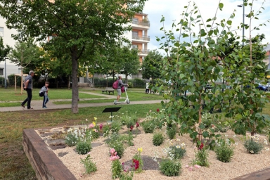 plantation de fleurs dans un parc urbain et quelques piétons