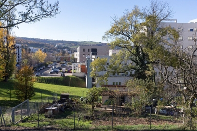 une ferme urbaine - jardin en ville