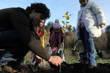 un homme et deux enfants qui plantent un jeune arbre