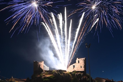 feu d'artifice devant un château - Agrandir l'image 4 sur 4, fenêtre modale