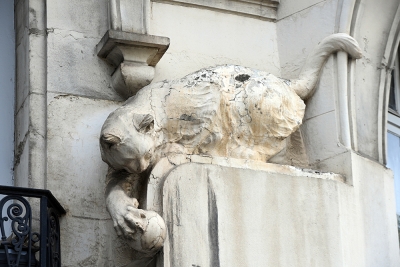 statue d'un chat blanc sur une façade - Agrandir l'image 5 sur 7, fenêtre modale