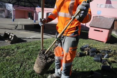 Végétalisation école Berkeley - Agrandir l'image 1 sur 3, fenêtre modale