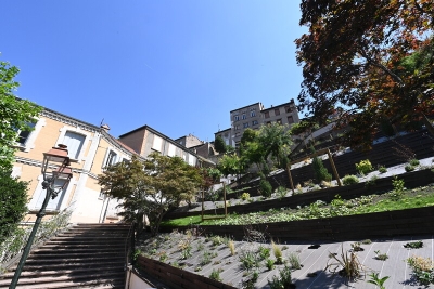 Jardin aménagé dans une pente, à côté d'un escalier - Agrandir l'image 1 sur 2, fenêtre modale