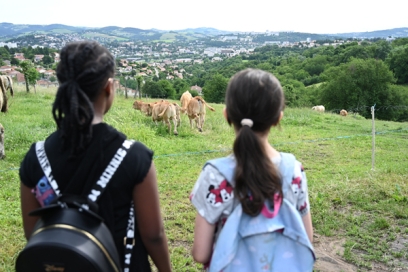 Agrandir l'image, fenêtre modale