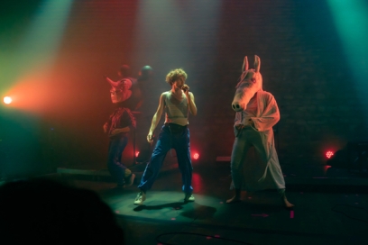 Agrandir l'image, fenêtre modale