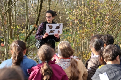 enfants qui écoutent une présentation sur les oiseaux - Agrandir l'image, fenêtre modale