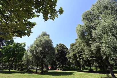 Agrandir l'image, fenêtre modale