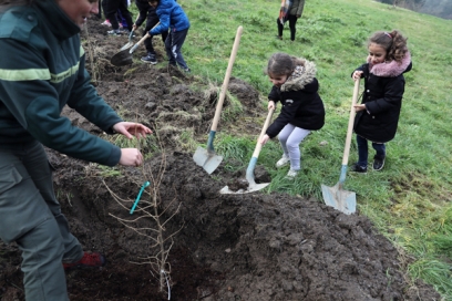 plantation d'arbres à Pinelon - Agrandir l'image, fenêtre modale