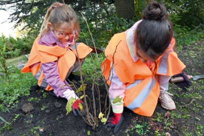 plantation d'arbres à la Cotonne - Agrandir l'image, fenêtre modale