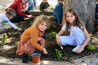 Plantation dans la cour de l'école de Rochetaillée par les élèves - Agrandir l'image, fenêtre modale