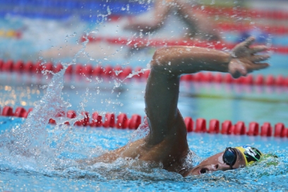 homme qui nage - Agrandir l'image, fenêtre modale