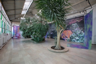 arbre, murs peints exposés dans une salle - Agrandir l'image, fenêtre modale