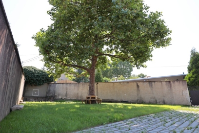 Végétalisation de la cour d'école primaire de Terrenoire - Agrandir l'image, fenêtre modale