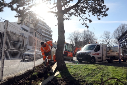 Travaux végétalisation école Berkeley - Agrandir l'image, fenêtre modale