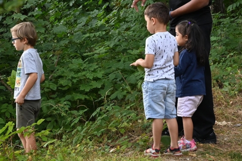 Enfants et adultes en balade