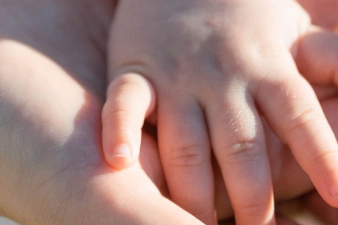 mains d'enfant et d'adulte