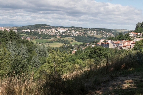 forêt avec vue sur la ville