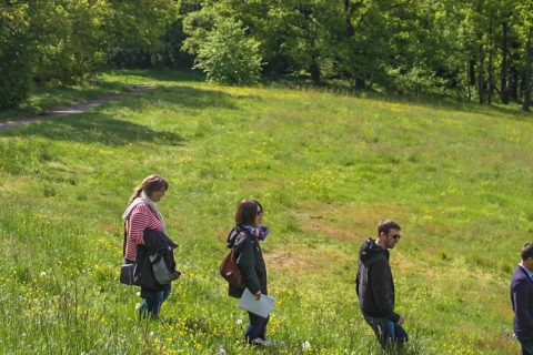 marcheurs dans un parc arboré et engazonné