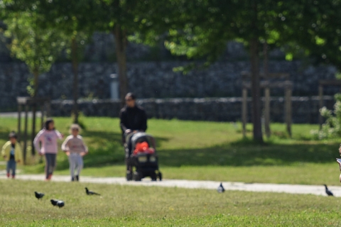Personnes qui se promènent dans un parc engazonné