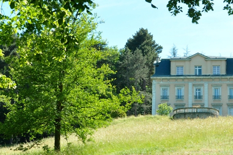 parc arboré avec un château
