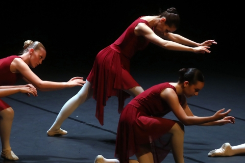 un groupe de danseuses